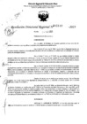 Vista preliminar de documento RDR 5146-2023