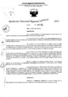 Vista preliminar de documento RDR 5147-2023