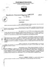 Vista preliminar de documento RDR 5148-2023