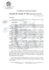 Vista preliminar de documento AC_003-2024-MPV-EXT/CM