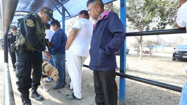 Penales