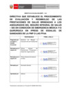 Vista preliminar de documento DIRECTIVA 05-2024-SIS-GREP-V01_c
