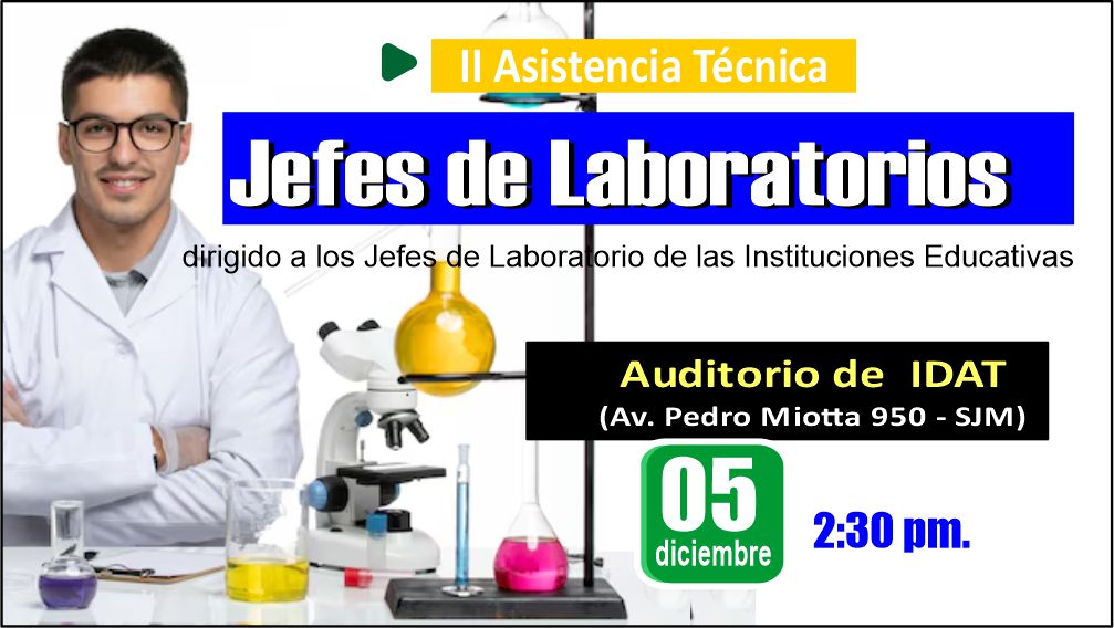 II Asistencia técnica - JEFES DE LABORATIO DE IE