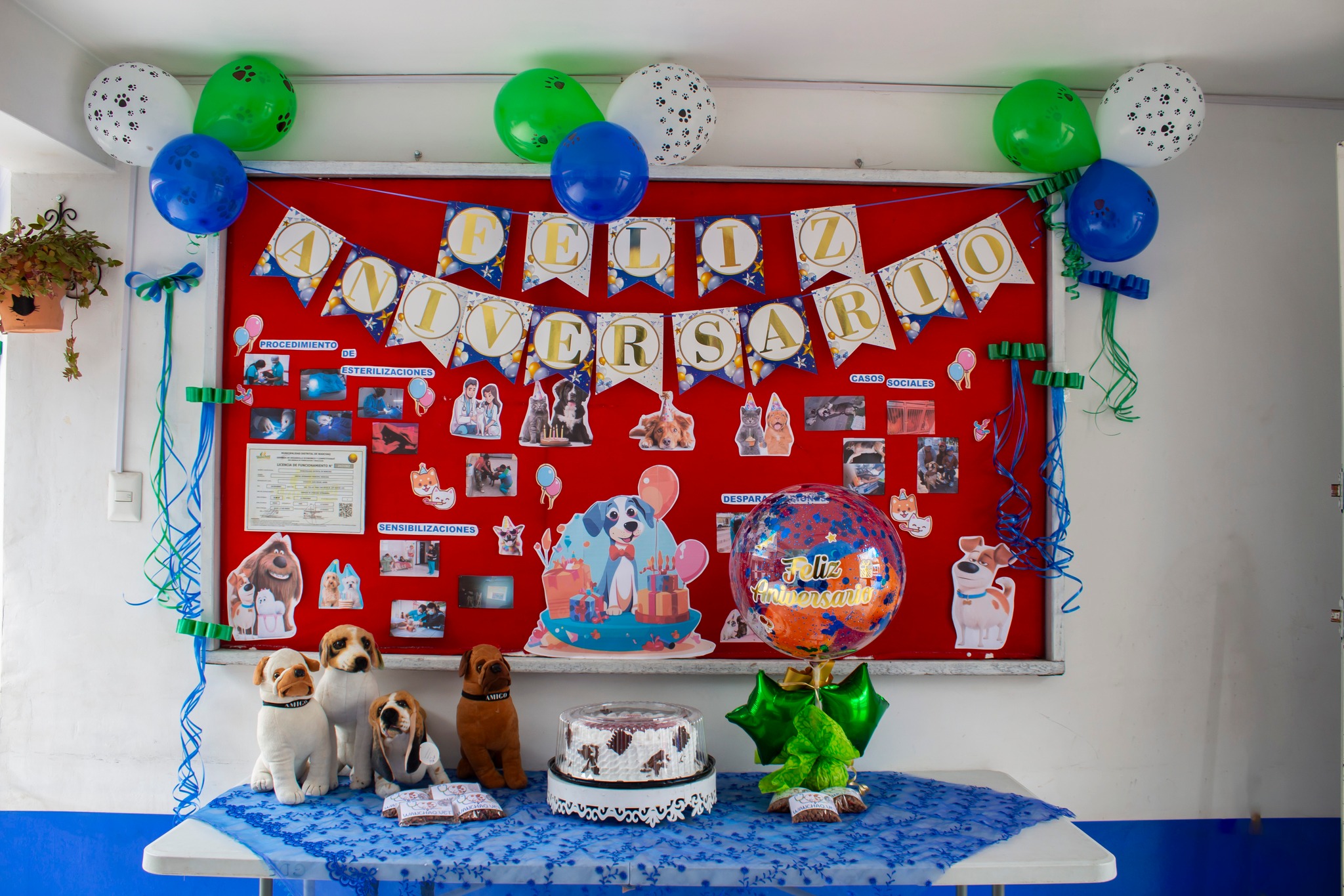 En este primer año, hemos compartido grandes momentos junto a nuestras mascotas y vecinos,