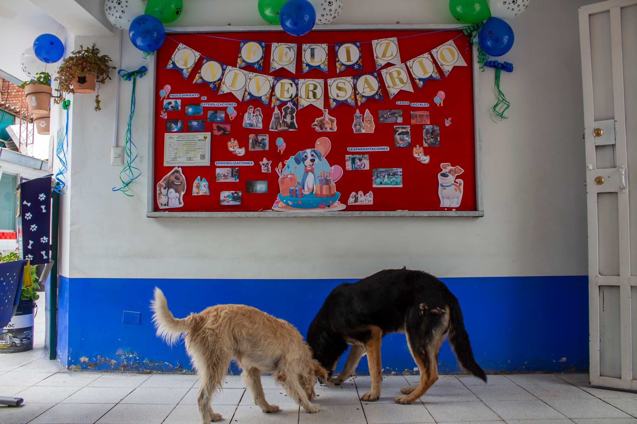 En este primer año, hemos compartido grandes momentos junto a nuestras mascotas y vecinos,