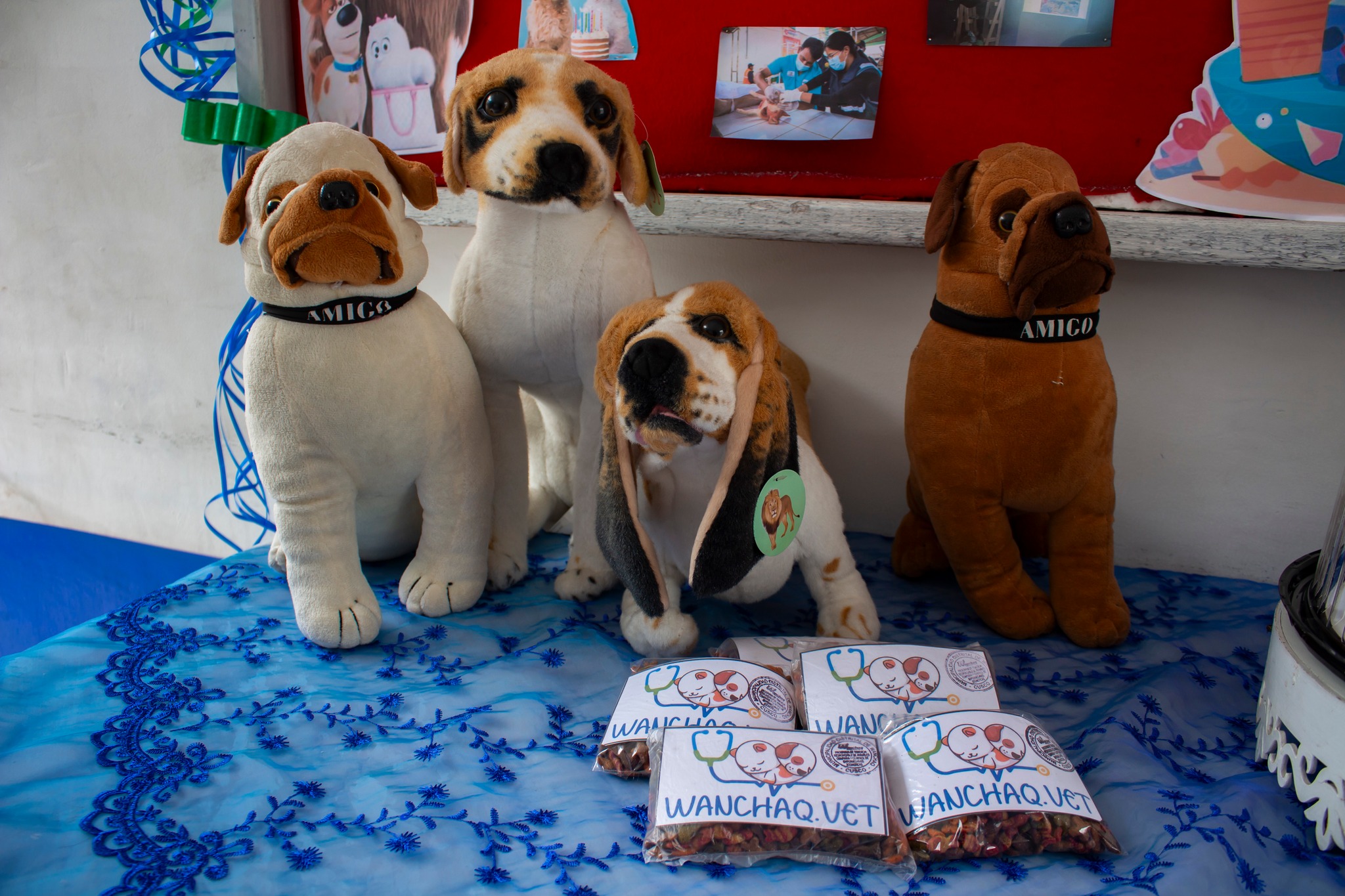 En este primer año, hemos compartido grandes momentos junto a nuestras mascotas y vecinos,