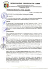 Vista preliminar de documento ORDENANZA MUNICIPAL N°020-2024-MPL