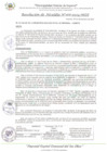 Vista preliminar de documento RA_366_2024_MDI