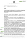 Vista preliminar de documento RDE-000288-2024-DE