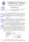 Vista preliminar de documento RESOLUCION ALCALDIA N° 692-2024-MPPC/AYAC.