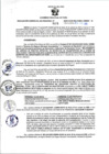 Vista preliminar de documento RGSR 668-2024 nov