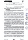 Vista preliminar de documento rd265-2024