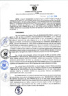 Vista preliminar de documento RGSR 684-2024 nov