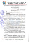 Vista preliminar de documento RESOLUCION ALCALDIA N° 696-2024-MPPC/AYAC.