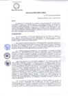 Vista preliminar de documento R.D 211-DG-24