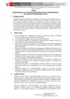 Vista preliminar de documento Anexo