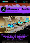 Vista preliminar de documento BosquesEnAccion-boletin19