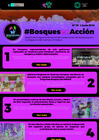 Vista preliminar de documento BosquesEnAccion-boletin20