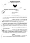 Vista preliminar de documento RDR 5149-2023