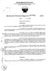 Vista preliminar de documento RDR 5151-2023