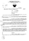 Vista preliminar de documento RDR 5152-2023