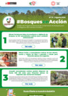 Vista preliminar de documento BosquesEnAccion-boletin22