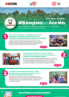 Vista preliminar de documento BosquesEnAccion-boletin23
