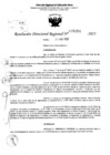 Vista preliminar de documento RDR 5154-2023
