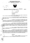 Vista preliminar de documento RDR 5155-2023