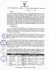 Vista preliminar de documento Resolucion 355