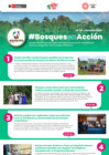 Vista preliminar de documento BosquesEnAccion-boletin24