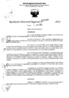 Vista preliminar de documento RDR 5157-2023