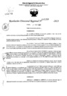 Vista preliminar de documento RDR 5158-2023