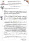 Vista preliminar de documento ACM309-2024
