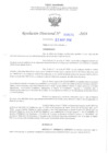 Vista preliminar de documento RD N° 670 