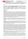 Vista preliminar de documento RG330