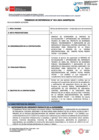 Vista preliminar de documento 1. TDR 924-2024 