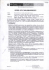 Vista preliminar de documento RD_275_2009_MEM_AAM