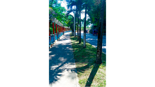 Mantenimiento de áreas verdes en diferentes puntos de la ciudad de Tarapoto. 