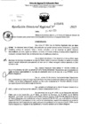 Vista preliminar de documento RDR 5161-2023
