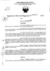 Vista preliminar de documento RDR 5169-2023