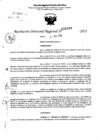 Vista preliminar de documento RDR 5177-2023