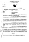 Vista preliminar de documento RDR 5191-2023