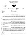 Vista preliminar de documento RDR 5192-2023