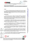 Vista preliminar de documento RESOLUCIÓN DE PRESIDENCIA-000100-2024-SINEACE/COSUSINEACE-P