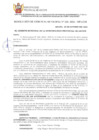 Vista preliminar de documento RGM2332024MPA