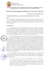 Vista preliminar de documento RGM2382024MPA