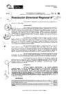 Vista preliminar de documento RDR 9222-2024
