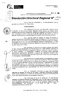 Vista preliminar de documento RDR 9225-2024