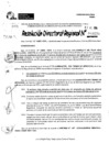 Vista preliminar de documento RDR 9226-2024